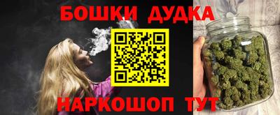 spice Гатчина