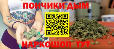 spice Гатчина