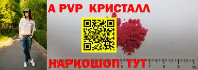 spice Гатчина